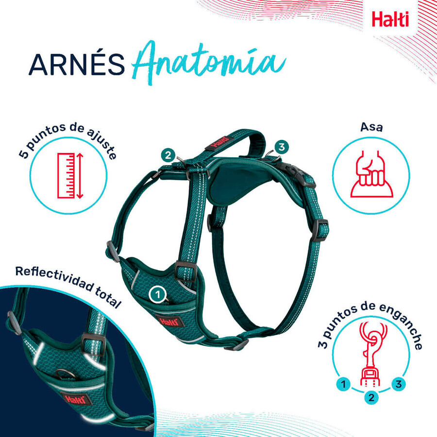 Dog Harness Company of Animals Turquoise M 35-55 cm