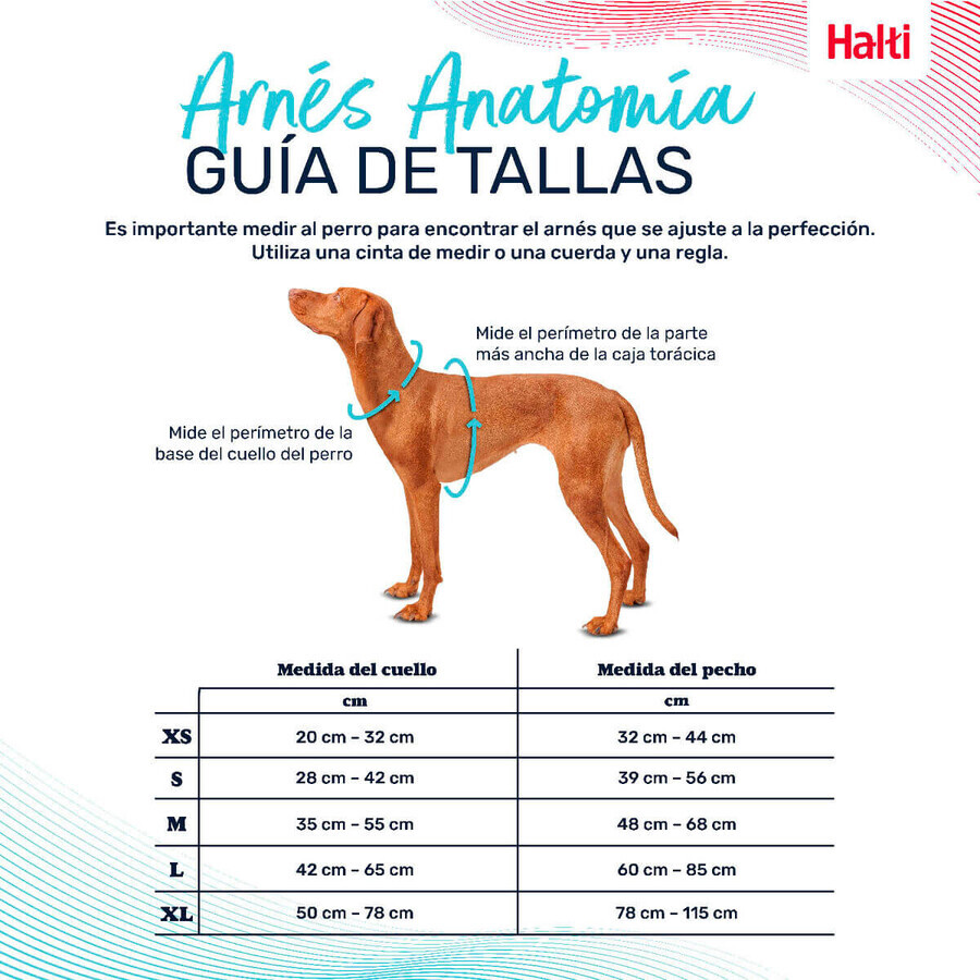 Dog Harness Company of Animals Turquoise M 35-55 cm