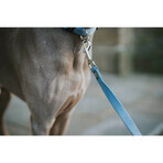 Guinzaglio per Cani Hunter Azzurro 100 cm