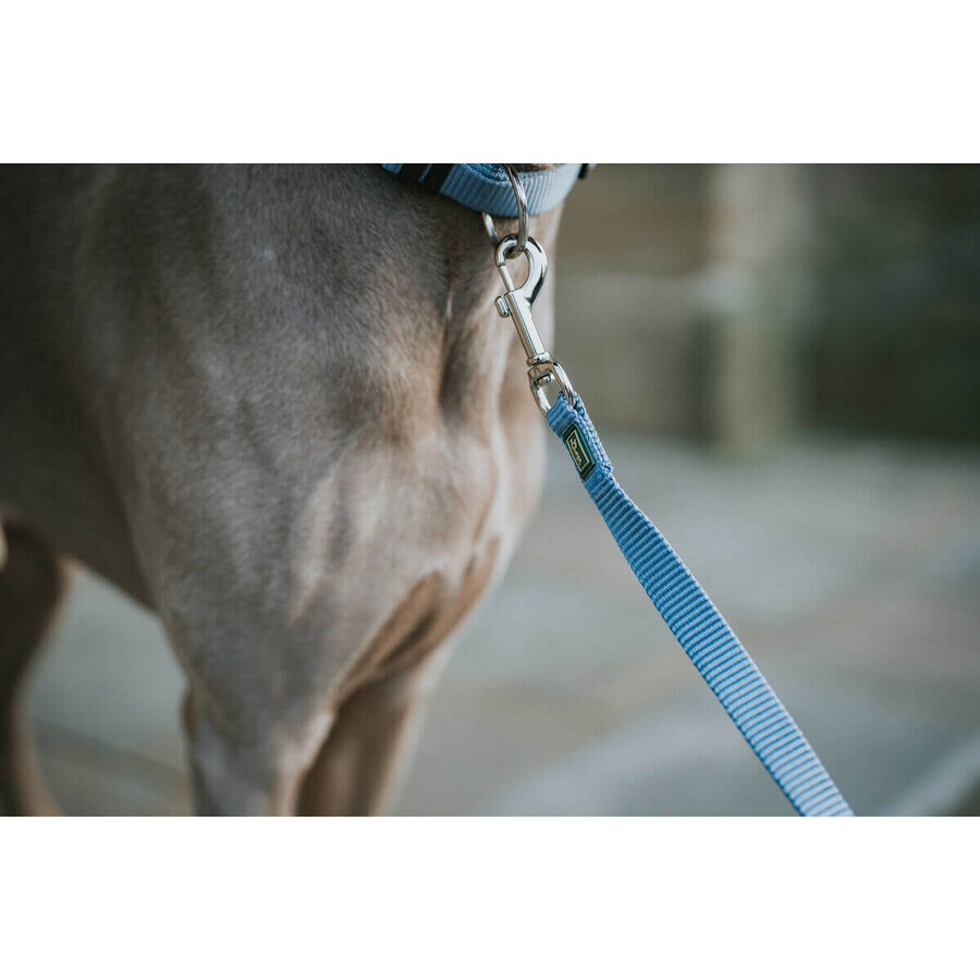 Guinzaglio per Cani Hunter Azzurro 100 cm Guinzaglio per Cani Hunter Azzurro 100 cm