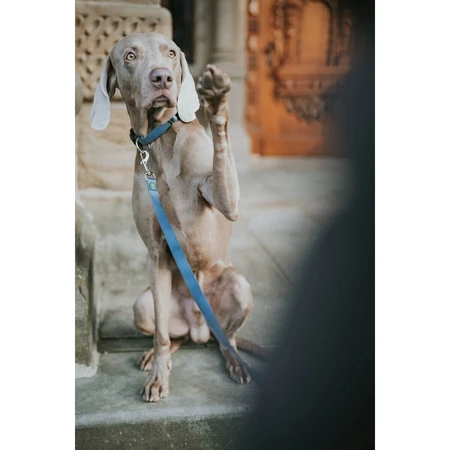 Correa para perro Hunter Azul 100 cm