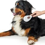 Ontwar Haarborstel Hunter Zelfreinigend Ontwar Haarborstel Hunter Zelfreinigend