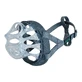 Muzzle Company of Animals Transparent 4