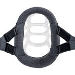 Muzzle Company of Animals Transparent 4