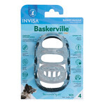 Muzzle Company of Animals Transparent 4