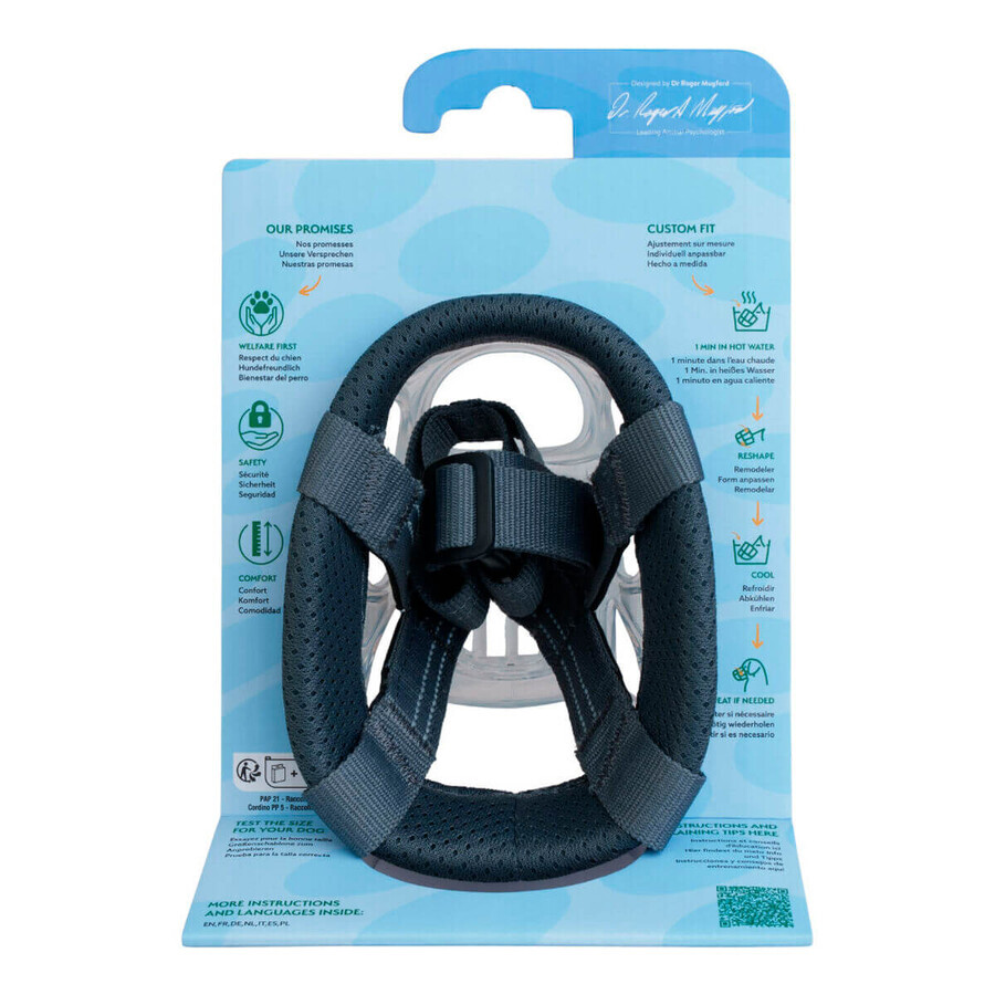 Muzzle Company of Animals Transparent 4 Muzzle Company of Animals Transparent 4