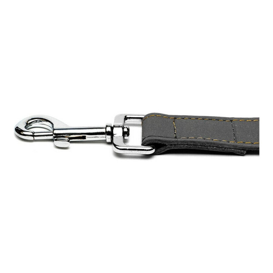 Laisse pour Chien Gloria Oasis 3 x 60 cm Noir Laisse pour Chien Gloria Oasis 3 x 60 cm Noir