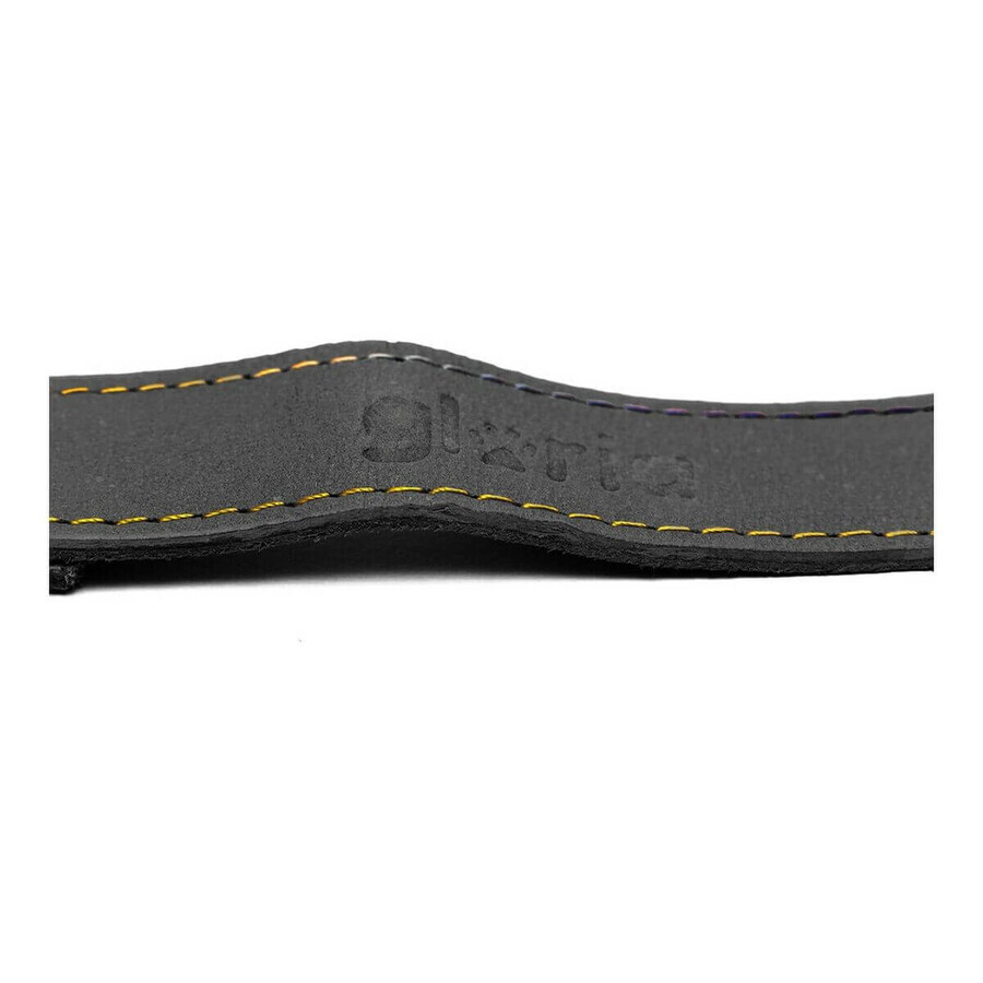 Laisse pour Chien Gloria Oasis 3 x 60 cm Noir Laisse pour Chien Gloria Oasis 3 x 60 cm Noir