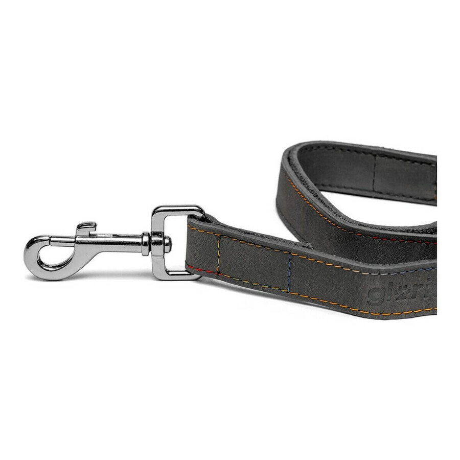 Laisse pour Chien Gloria Oasis 3 x 60 cm Noir Laisse pour Chien Gloria Oasis 3 x 60 cm Noir