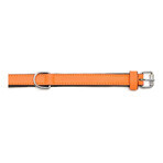 Dog collar Gloria Padded Orange (35 x 1,5 cm)