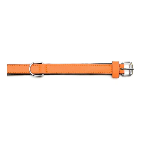 Hondenhalsband Gloria Gestoffeerd Oranje (35 cm) (35 x 1,5 cm)