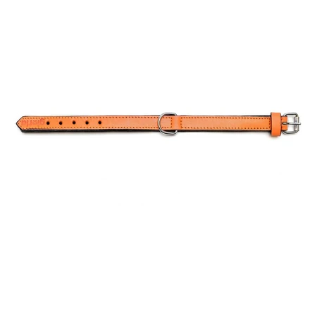 Hondenhalsband Gloria Gestoffeerd Oranje (35 cm) (35 x 1,5 cm)