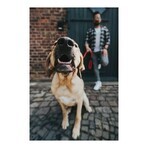 Guinzaglio per Cani Hunter FREESTYLE Rosso 110 cm Guinzaglio per Cani Hunter FREESTYLE Rosso 110 cm