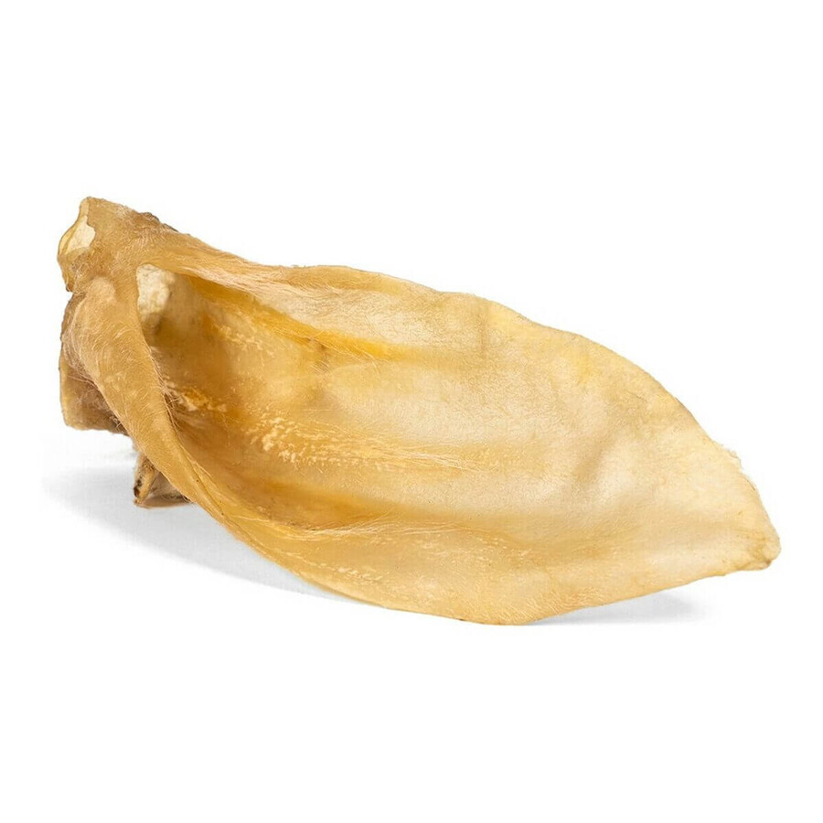 Comprar Gustare pentru câini Gloria 50 Unidades Urechi Carne de oaie Gustare pentru câini Gloria 50 Unidades Urechi Carne de oaie