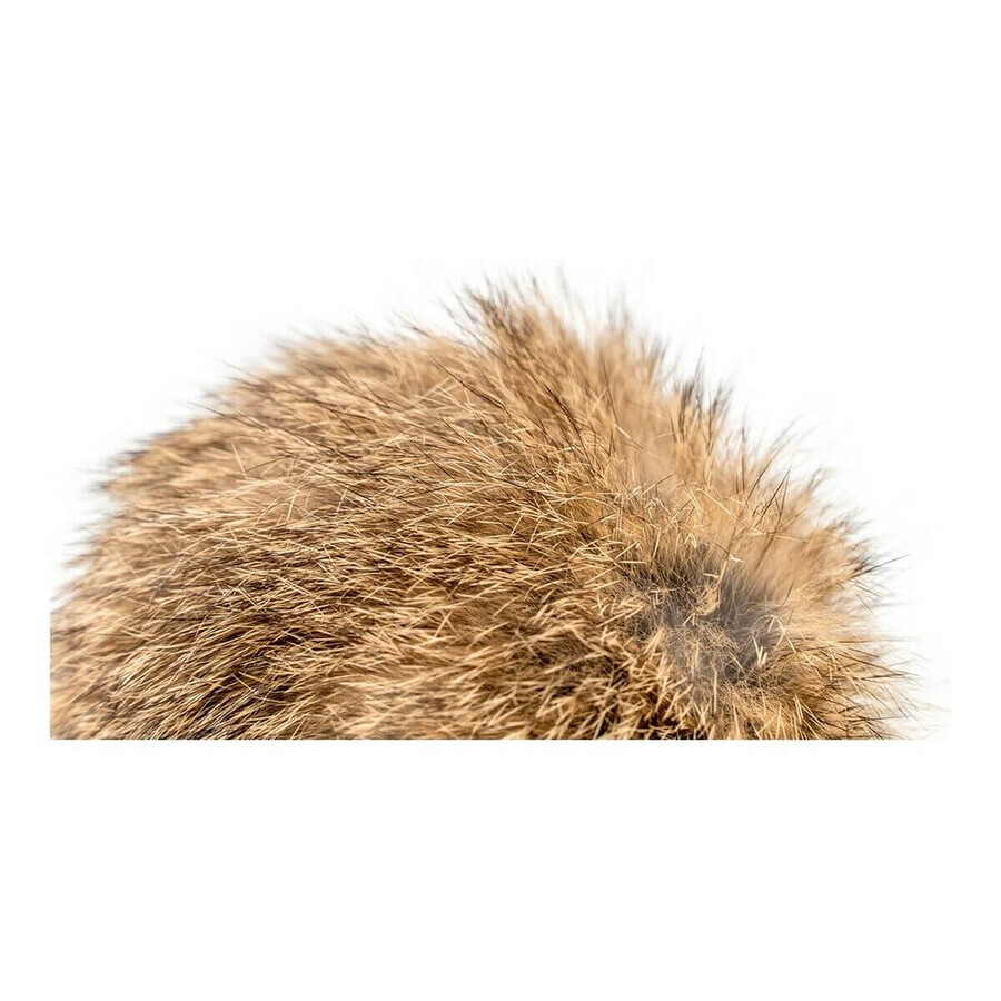 Undiță pentru pisici Gloria Rogers Pompoane (12 cm) Undiță pentru pisici Gloria Rogers Pompoane (12 cm)