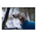 Haină pentru câine Red Dingo Puffer Turquoise 30 cm