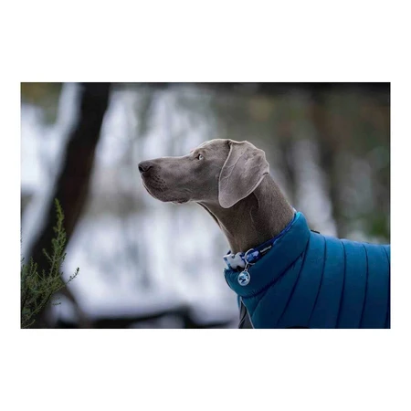 Haină pentru câine Red Dingo Puffer Turquoise 30 cm