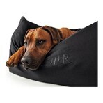 Canapea pentru câini Hunter Gent Negru Poliester black (60 x 45 cm) Canapea pentru câini Hunter Gent Negru Poliester black (60 x 45 cm)