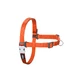 Șuncă pentru câini Red Dingo 36-50 cm Portocaliu S