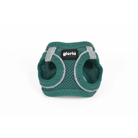 Harnais pour Chien Gloria Trek Star 27-28 cm 31-34,6 cm Turquoise XS