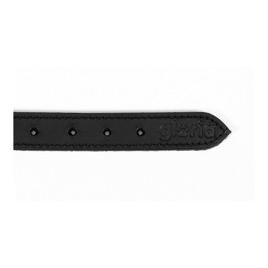 Hondenhalsband Gloria Duna Zwart Gouden (40 cm) (40 x 2 cm) Hondenhalsband Gloria Duna Zwart Gouden (40 cm) (40 x 2 cm)