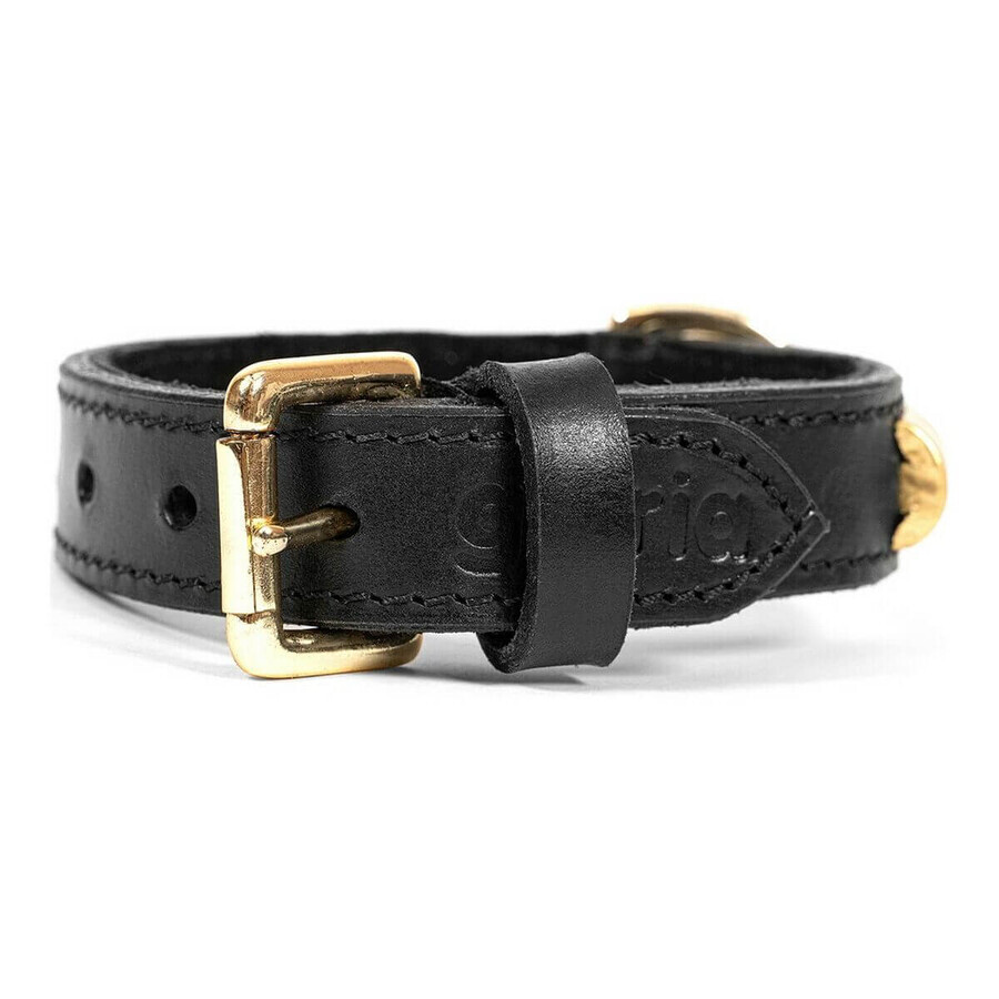 Hondenhalsband Gloria Duna Zwart Gouden (40 cm) (40 x 2 cm) Hondenhalsband Gloria Duna Zwart Gouden (40 cm) (40 x 2 cm)