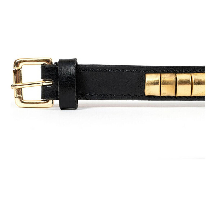 Hondenhalsband Gloria Duna Zwart Gouden (40 cm) (40 x 2 cm) Hondenhalsband Gloria Duna Zwart Gouden (40 cm) (40 x 2 cm)