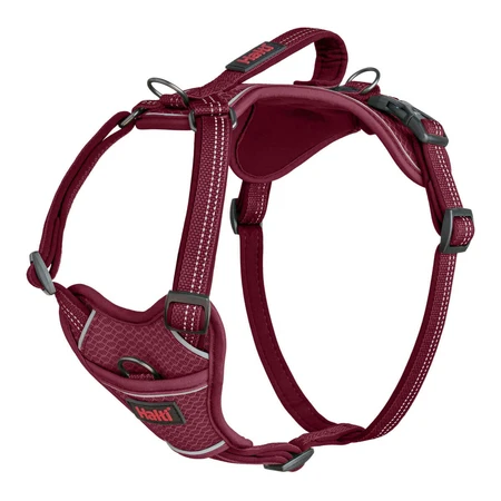 Jamón para perros Company of Animals Bordo XL 50-78 cm