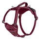 Șuncă pentru câini Company of Animals Bordo XL 50-78 cm