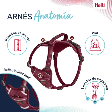 Jamón para perros Company of Animals Bordo XL 50-78 cm