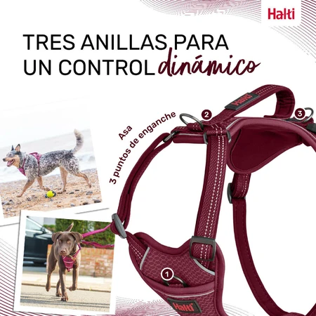 Jamón para perros Company of Animals Bordo XL 50-78 cm