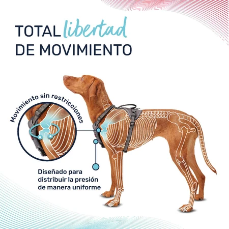 Jamón para perros Company of Animals Bordo XL 50-78 cm