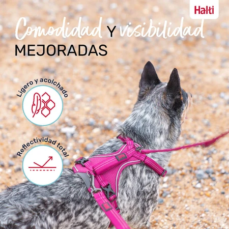 Jamón para perros Company of Animals Bordo XL 50-78 cm