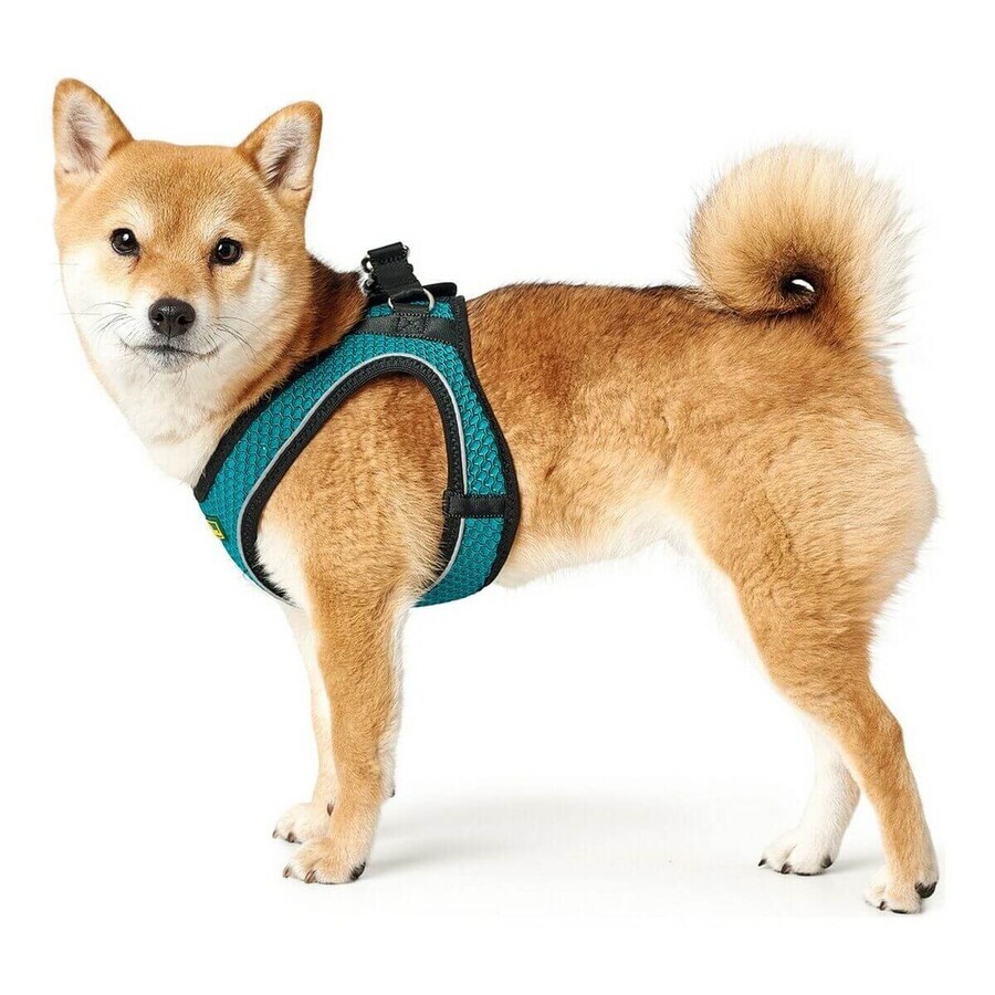Ham pentru câini Hunter Hilo-Comfort Turquoise XS/S (37-42 cm)