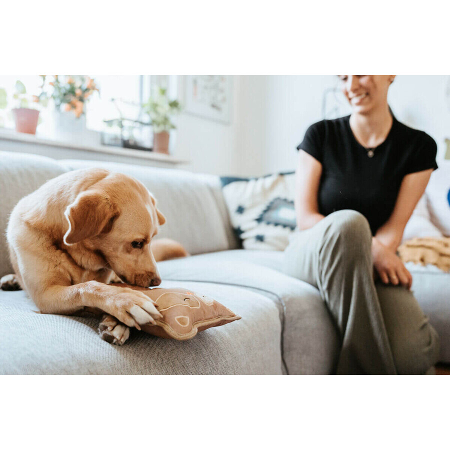 Giocattoli per cani Hunter Tough Tundra Beige Procione