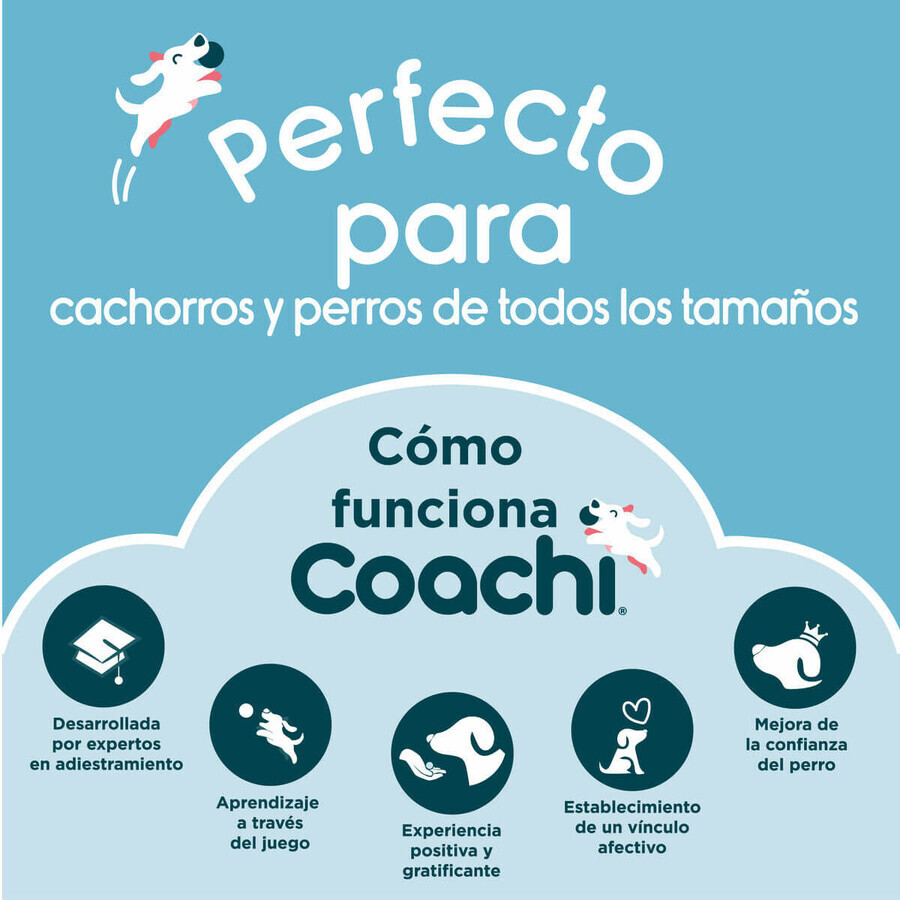 Necessaire Coachi Train & Treat Azzurro