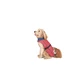 Impermeable Dog Gone Smart Coral 45 cm