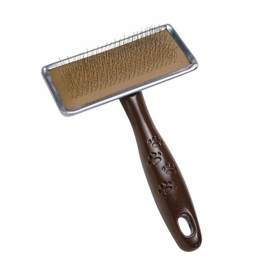 Boutique Brosse Gloria Plastique Brosse Gloria Plastique