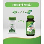 Goldenseal Rott, 30 capsules, Natures Way
