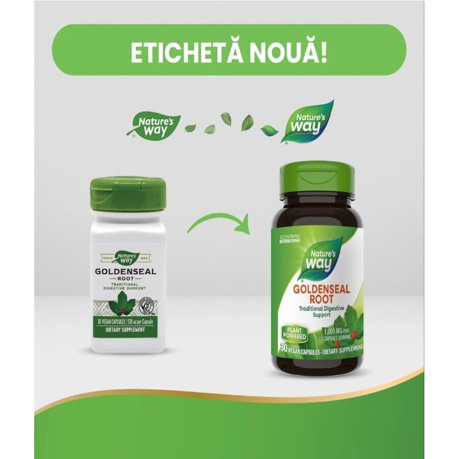 Goldenseal Rott, 30 capsules, Natures Way
