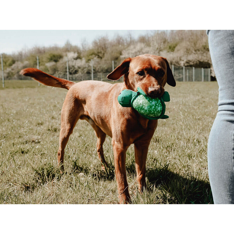 Jouet pour chien Hunter Jouet pour chien Hunter