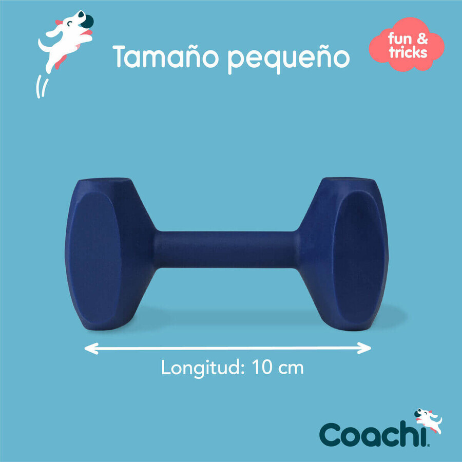 Dumbbell Coachi TRAINING DUMBBELL Blauw Dumbbell Coachi TRAINING DUMBBELL Blauw