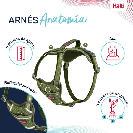 Dog Harness Company of Animals Green M 35-55 cm