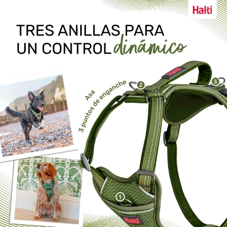 Dog Harness Company of Animals Green M 35-55 cm