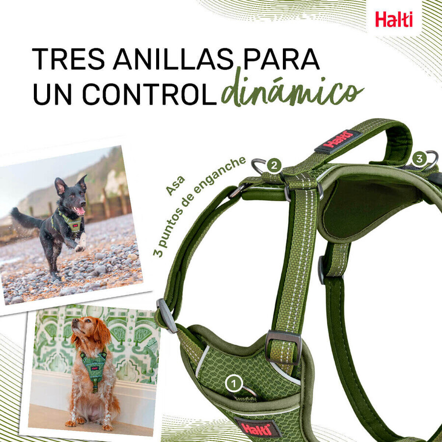Hundegeschirr Company of Animals grün M 35-55 cm