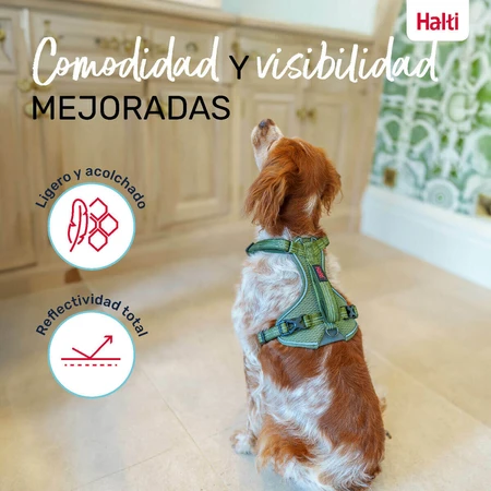 Dog Harness Company of Animals Green M 35-55 cm