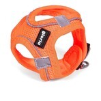 Ham pentru câini Gloria Air Mesh Trek Star Reglabil Portocaliu L (33,4-35 cm) Ham pentru câini Gloria Air Mesh Trek Star Reglabil Portocaliu L (33,4-35 cm)