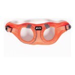 Ham pentru câini Gloria Air Mesh Trek Star Reglabil Portocaliu L (33,4-35 cm) Ham pentru câini Gloria Air Mesh Trek Star Reglabil Portocaliu L (33,4-35 cm)