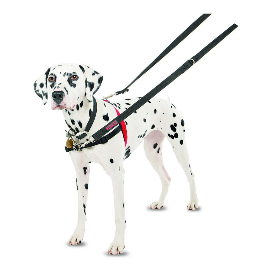 Ham pentru câini Company of Animals Halti Negru/Roșu Mărimea M (58-86 cm)