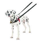 Ham pentru câini Company of Animals Halti Negru/Roșu Mărimea M (58-86 cm) Ham pentru câini Company of Animals Halti Negru/Roșu Mărimea M (58-86 cm)